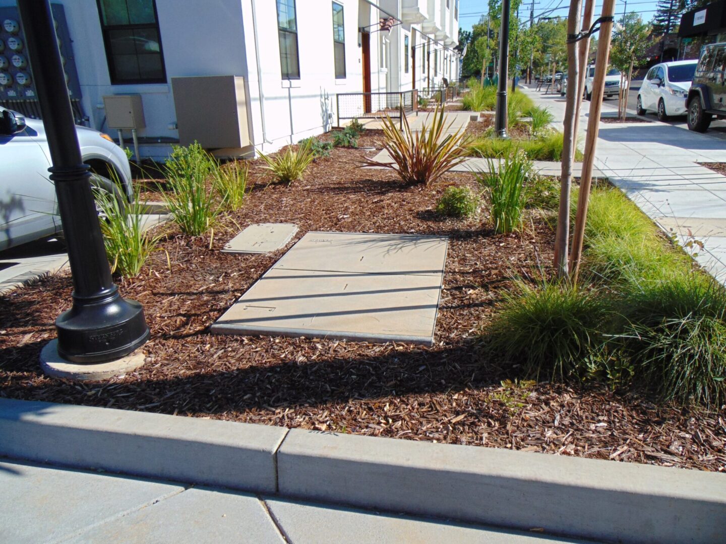 Modern commercial streetscape with landscaping